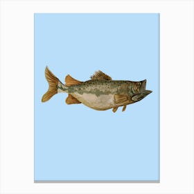 Green Fish Illustration 1 Canvas Print