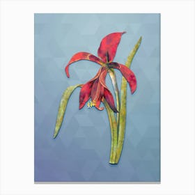 Vintage Amaryllis Botanical Art on Summer Song Blue n.0656 Canvas Print
