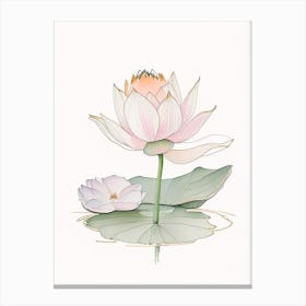 Blooming Lotus Flower In Lake Pencil Illustration 4 Canvas Print