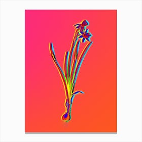 Neon Narcissus Calathinus Botanical in Hot Pink and Electric Blue n.0254 Canvas Print