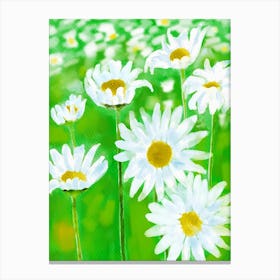 Daisy White Flower Summer Garden Painting Canvas Print