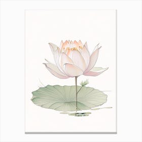 Blooming Lotus Flower In Pond Pencil Illustration 2 Canvas Print