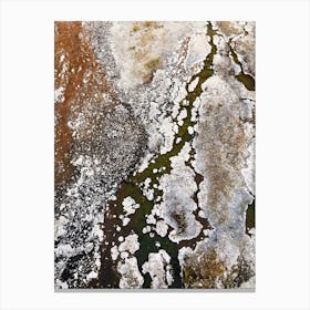 Flowing Spring Canvas Print