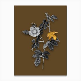 Vintage Dog Rose Black and White Gold Leaf Floral Art on Coffee Brown n.0183 Canvas Print