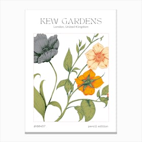 New Gardens 1 Canvas Print