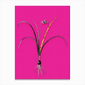 Vintage Brimeura Black and White Gold Leaf Floral Art on Hot Pink n.0024 Canvas Print