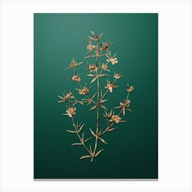 Gold Botanical Heath Mirbelia Branch on Dark Spring Green n.3271 Canvas Print