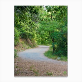 Road In The Woods 20210831 268ppub Canvas Print