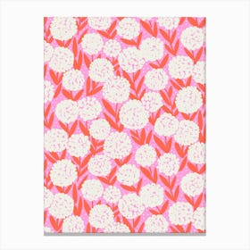 Blooming Abstract Allium Flowers White Coral Pink Canvas Print