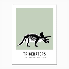 Triceratops Dinosaur Skeleton Fossil Canvas Print