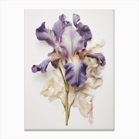 Pressed Flower Botanical Art Iris 5 Canvas Print