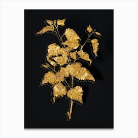 Vintage Silver Birch Botanical in Gold on Black n.0130 Canvas Print