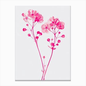Hot Pink Gypsophila Canvas Print