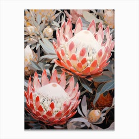 Flower Illustration Protea 9 Canvas Print