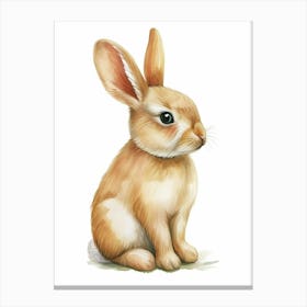 Britannia Petite Rabbit Kids Illustration 4 Canvas Print