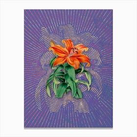 Vintage Thunberg's Orange Lily Botanical Illustration on Veri Peri n.0555 Canvas Print