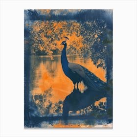 Orange & Blue Vintage Peacock In The Water 1 Canvas Print