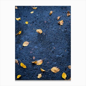 Autumn Leaves On The Road 1 Canvas Print