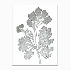 Parsley Herb William Morris Inspired Line Drawing 2 Canvas Print