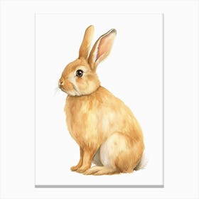 American Fuzzy Lop Rabbit Kids Illustration 1 Canvas Print