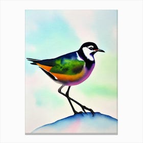 Lapwing Watercolour Bird Canvas Print