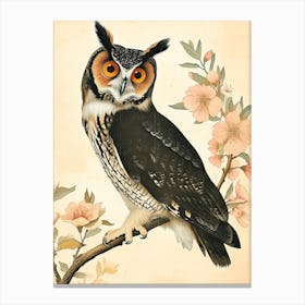 Australian Masked Owl Vintage Illustration 4 Canvas Print