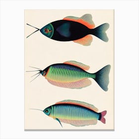 Zooplankton Vintage Poster Canvas Print