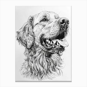 Golden Retriever Dog Line 1 Canvas Print