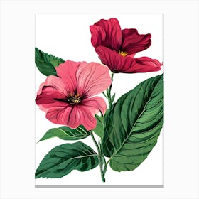 Hibiscus Flower Vector Illustration Canvas Print