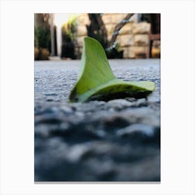 Leaf On The Ground Canvas Print