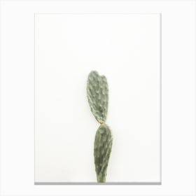 Single Cactus Canvas Print