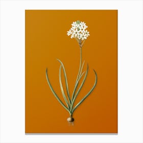 Vintage Arabian Starflower Botanical on Sunset Orange n.0554 Canvas Print