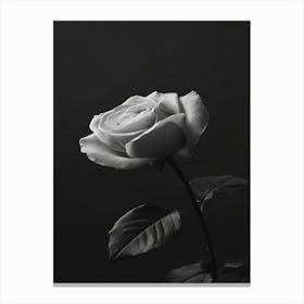 Black And White Rose 1 Canvas Print