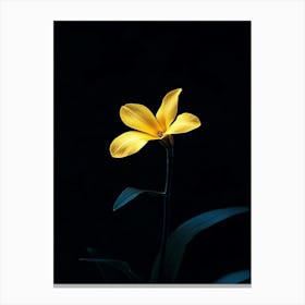 Yellow Flower 6 Canvas Print