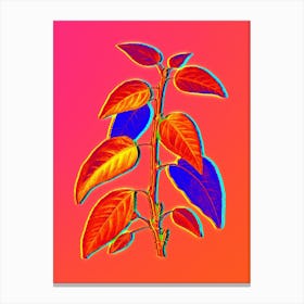 Neon Balsam Poplar Leaves Botanical in Hot Pink and Electric Blue n.0171 Canvas Print