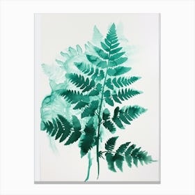 Green Ink Painting Of A Blue Star Fern 2 Canvas Print