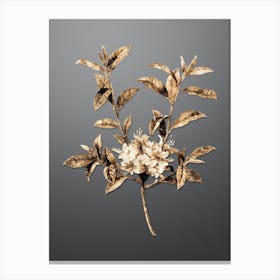 Gold Botanical Azalea on Soft Gray n.0141 Canvas Print