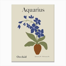 Aquarius Orchid Canvas Print