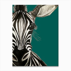 Zebra teal watercolour illustration wildlife Lienzo