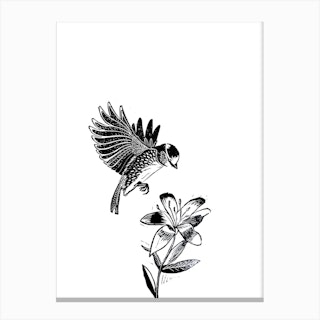 Bird Flower Canvas Print