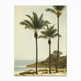 Stinson Beach California Vintage Canvas Print