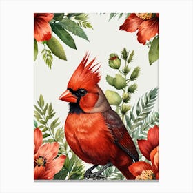 Cardinal Bird Canvas Print