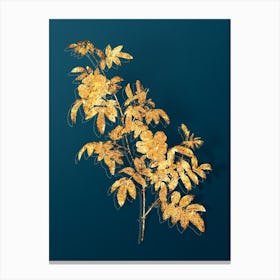 Vintage Musk Rose Botanical in Gold on Teal Blue n.0341 Canvas Print