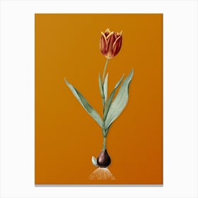 Vintage Tulip Botanical on Sunset Orange n.0662 Canvas Print