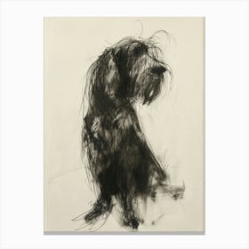 Petit Basset Griffon Vendeen Dog Charcoal Line 1 Canvas Print