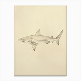 Smallscale Cookiecutter Shark Vintage Illustration 2 Canvas Print