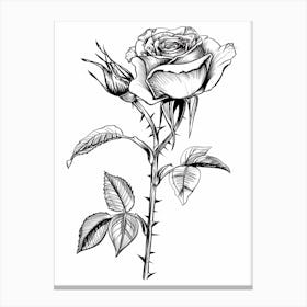 Black And White Rose Line Drawing 8 Canvas Print