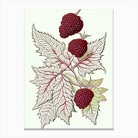 Red Raspberry Herb William Morris Inspired Line Drawing 1 Canvas Print