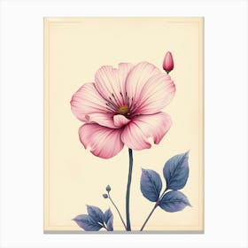 Pink Flower In A Frame Canvas Print