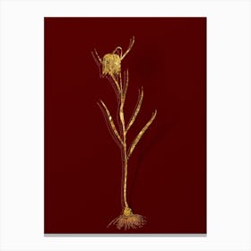 Vintage Chess Flower Botanical in Gold on Red n.0148 Canvas Print